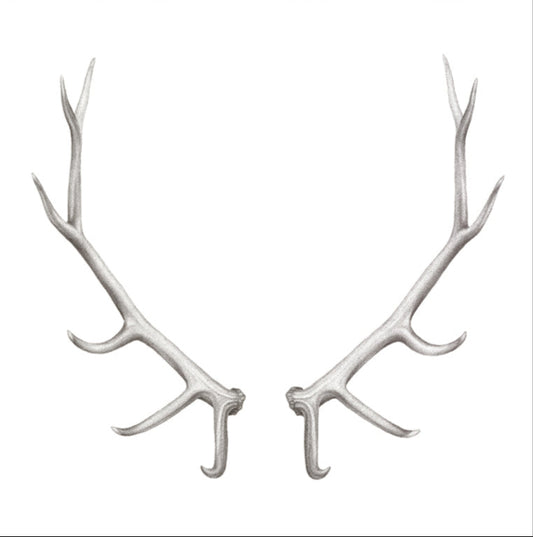 Antler Greeting Card