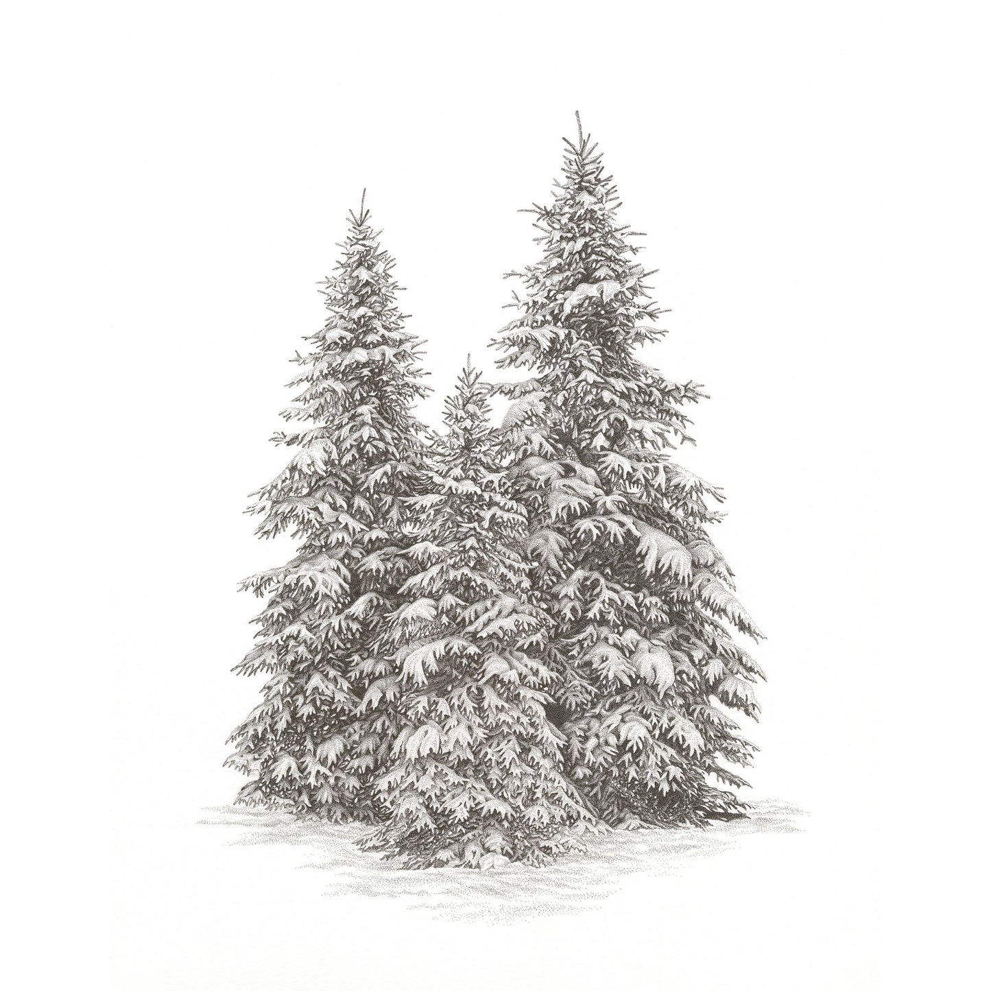 Winter Trees I, Greeting Cards